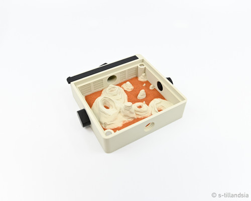 Hybrid nest type Yama Large・ブルアン（キバハリアリ） Hybrid nest type Yama・赤砂セット ブルアント（キバハリアリ