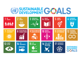 SDG's - What does it mean for us?