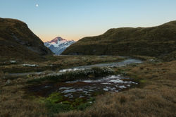 IMG_0504