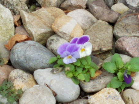 Worship Service for May 15, 2022