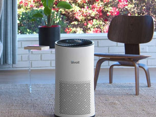 What Size Air Purifier for Home Do You Need for a Living Room?