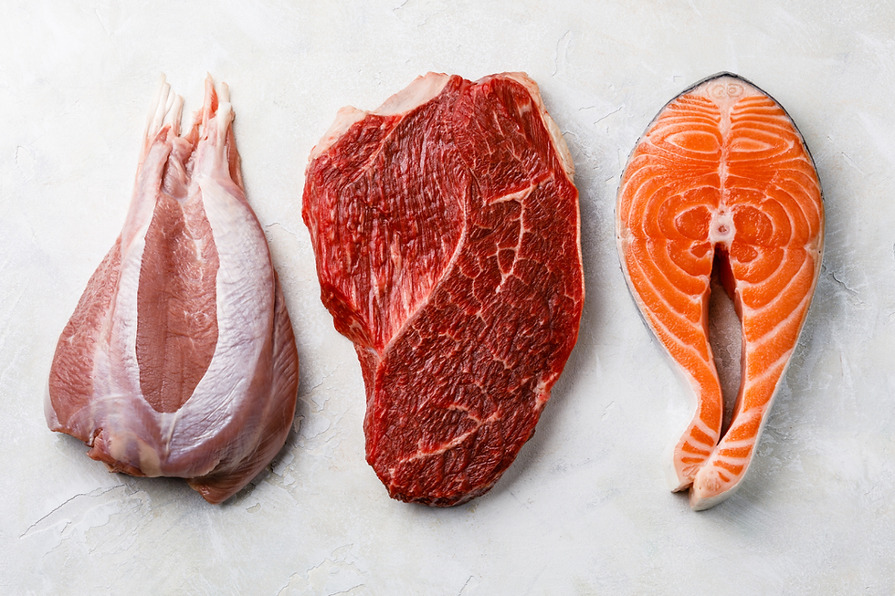 Sumber Protein Hewani sapi ikan kambing seafood 