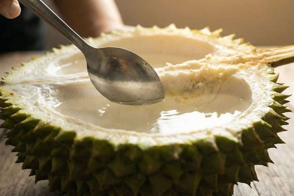 minum dari kulit durian