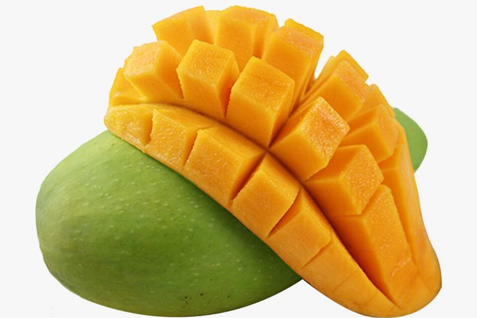 mangga harum manis
mangga manis
manfaat buah mangga
nutrisi buah mangga
jenis mangga di indonesia
