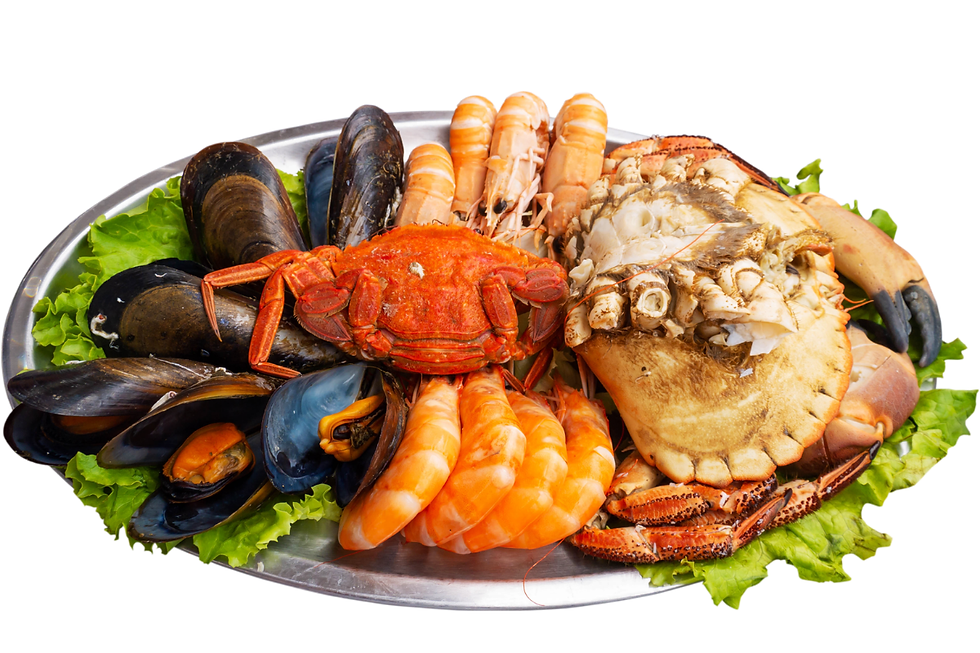seafood mengandung protein