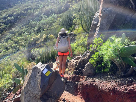 Hiking into the God's Eye - Tenerife