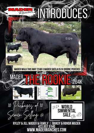 THE ROOKIE.jpg