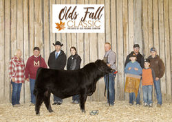 Mader Folsom Prison 66L