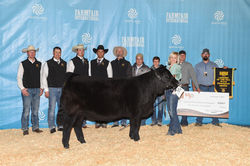 Mader All Day All Night 6D