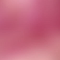 Limerence