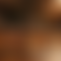 Explore the Finer Things: A Man's Lifestyle Guide