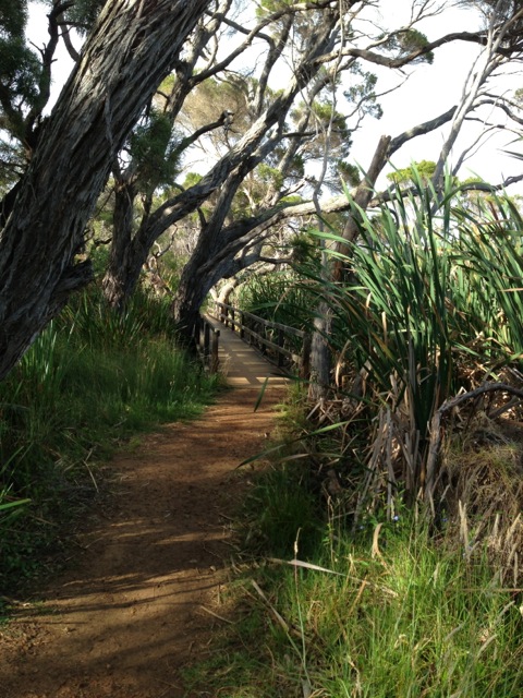 Lake Seppings Bird Walk