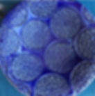 Down South Art Craft Collective