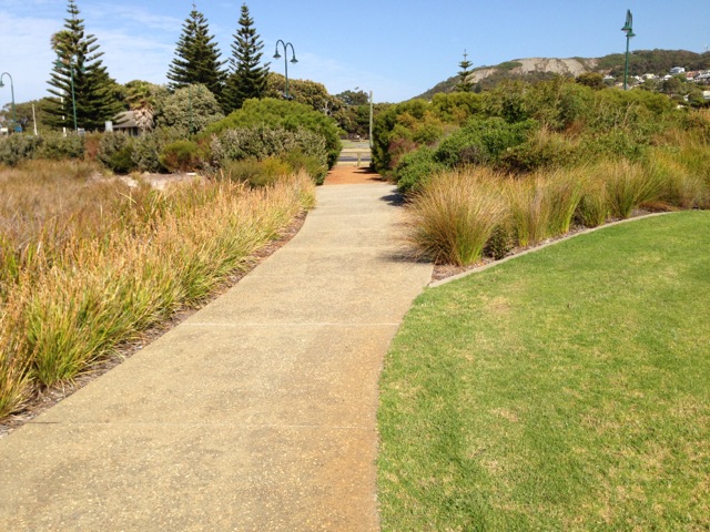 Over 50's Walking