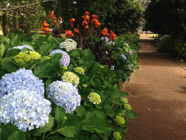 Bloom Festival