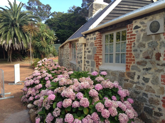 Strawberry Hill Farm