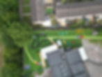 grass.jpeg