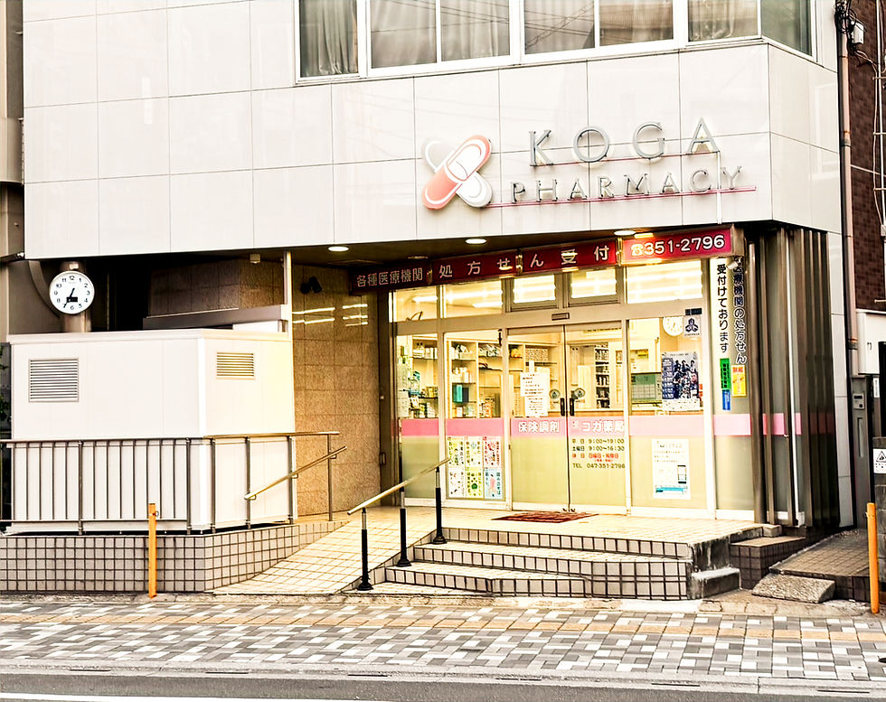 外観