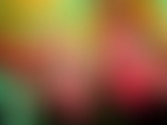 DEZE 16 ACTS STAAN OP DE PLANKEN TIJDENS ZUMME ZINGE?!