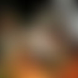 Antoon Houtepen onderscheiden met de Orde der Kruiken in Brons