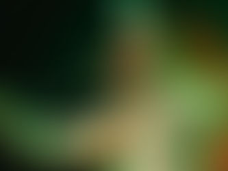 ERIK DE RIDDER STOPT ALS WETHOUDER