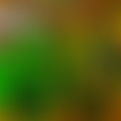 Omroep Tilburg zoomt in op carnaval: Hebben Tilburgers hoop op een carnaval dit jaar