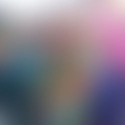 WAAR ZIJN DE FOTO'S VAN HOFFOTOGRAAF MARCEL VAN DEN BROEK GEBLEVEN