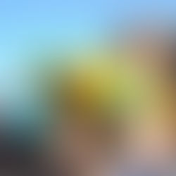 Halfvasten Opstoet 2022: Zinderend Zuiden