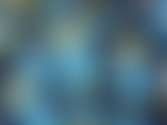 KRUIKENSTAD IN ACTIE VOOR HASSELTSE KAPEL