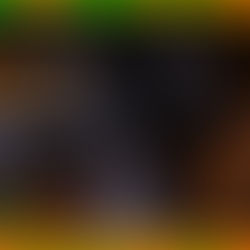 BEKENDMAKING PRINS 11-11 LIVE TE ZIEN BIJ KRUIKENTV