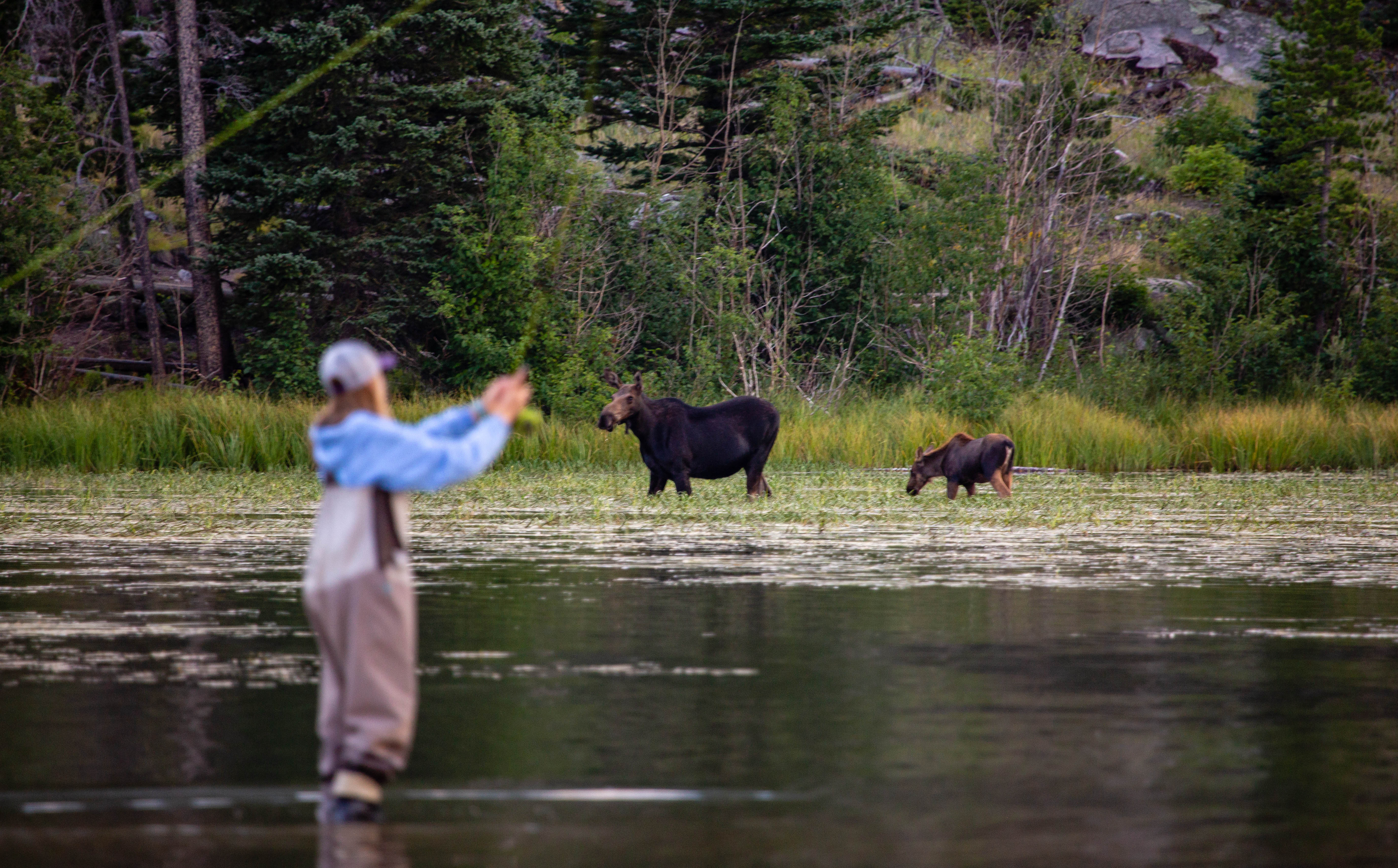 Guided Fly Fishing Estes Park Estes Park Mountain Shop