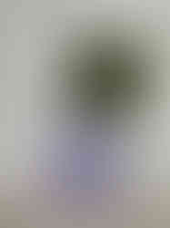 Hochwertig gedruckte Etiketten auf Baumwollpapier für den Hundweilerhof