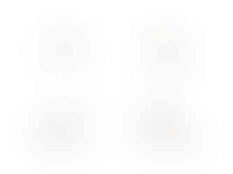 Iconsprache und Icondesign für das Familienunternehmen Renn Hotels