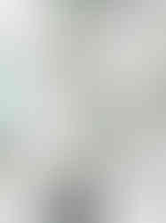 Bierdeckel Gestaltung für den Sommergarten Hoheneiche