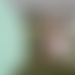 ESTOS HAN SIDO LOS ARTÍCULOS MÁS LEIDOS EN 2024