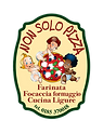 LOGO DI NON SOLO PIZZA
