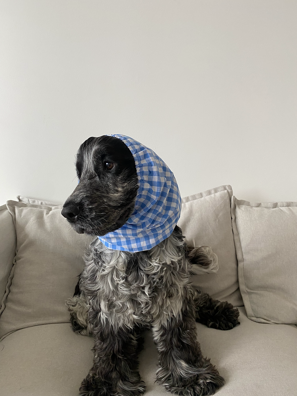 Thumbnail: Gingham Blue 