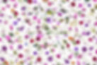 background.jpg