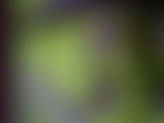 craft breweries are nervous about Tariffs