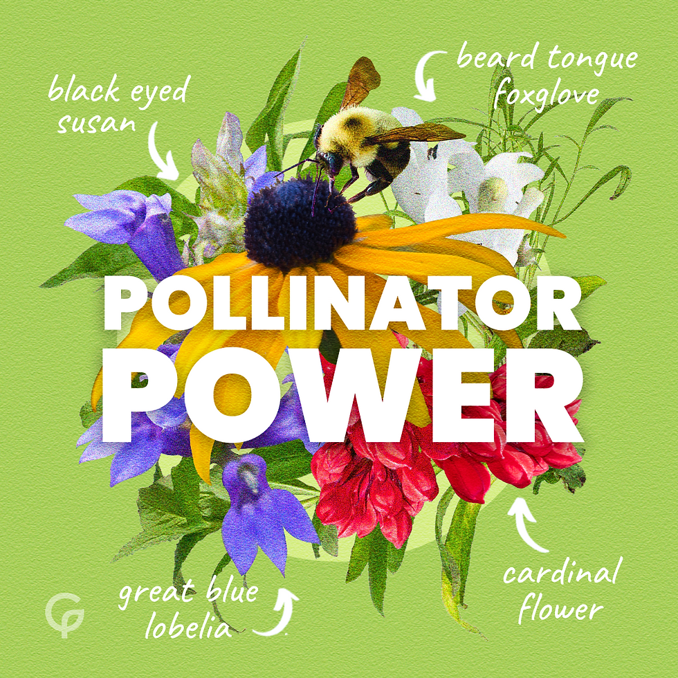 Pollinator Power