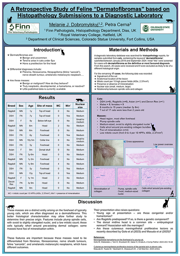 ISFM 2025 Edinburgh dermatofibromas poster.tif