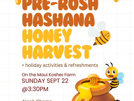 Pre-Rosh Hashana Honey Harvest Festival