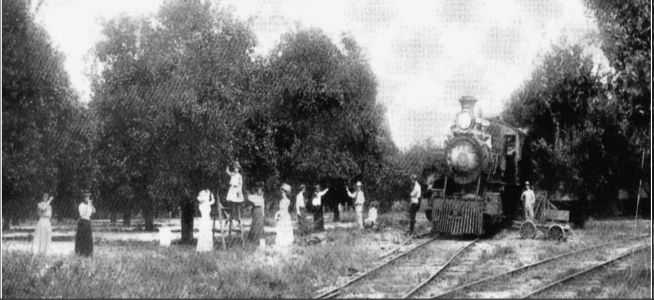 Rare photo of train arriving toward Brooksville (c. 1885). Locals pose near an orange grove as they await with excitement the train coming into the city.