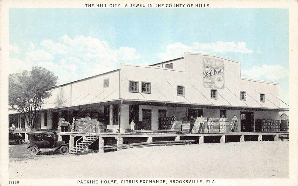 Brooksville Orange Packing Plant (1925) on what is now MLK Blvd. This was just east of South Main Street.