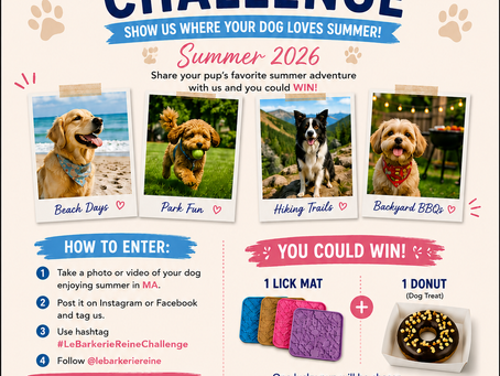 Summer 2026 Community Challenge