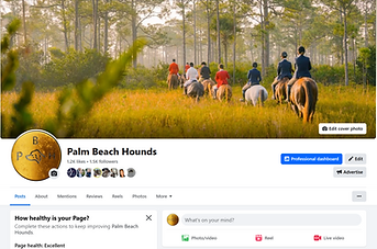 Facebook page.png