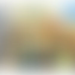 From Command to Market: Rebuilding North Korea’s Post-Kim Economy