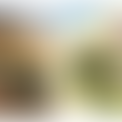 From Regime Army to National Force: Military Transition and Demobilization