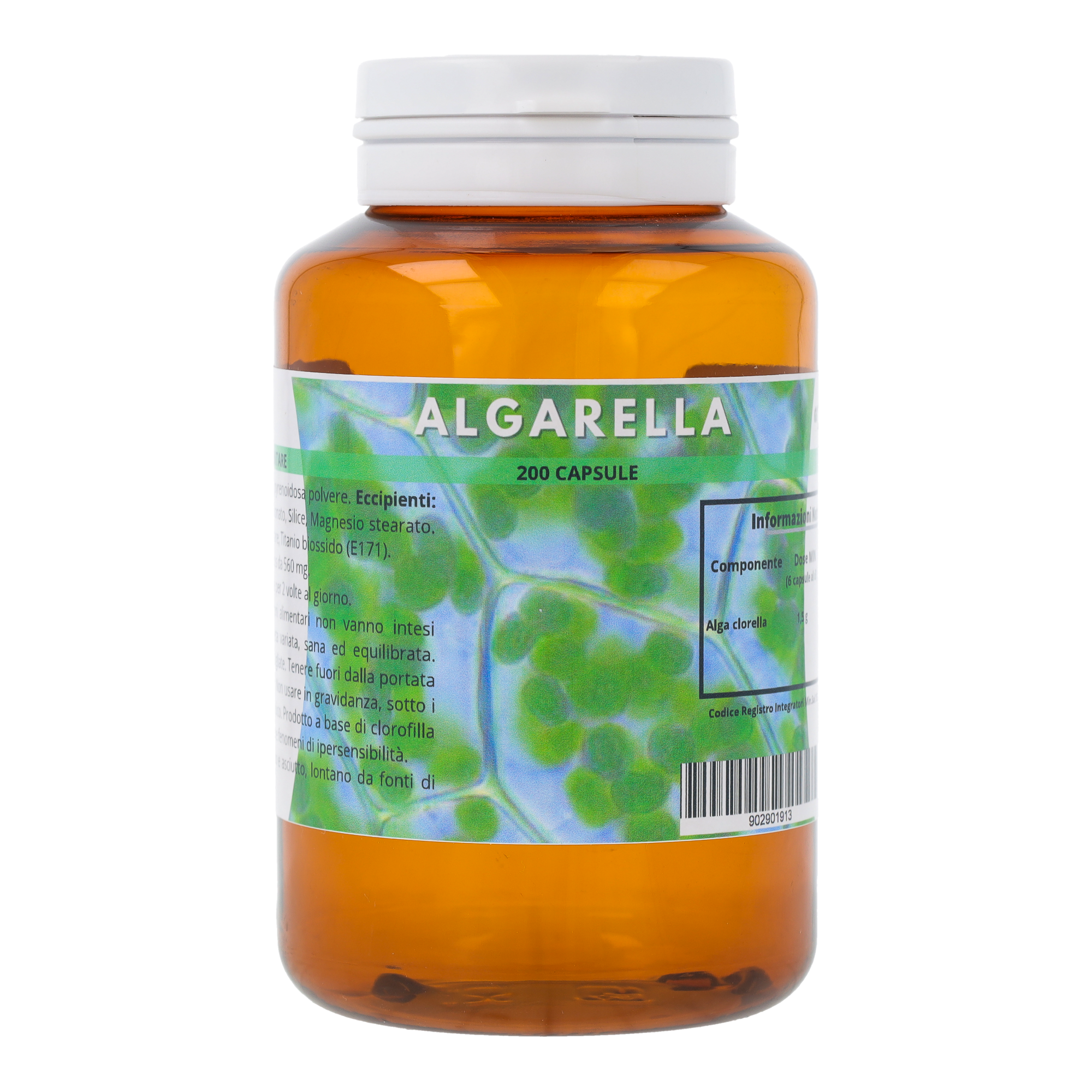 Algarella