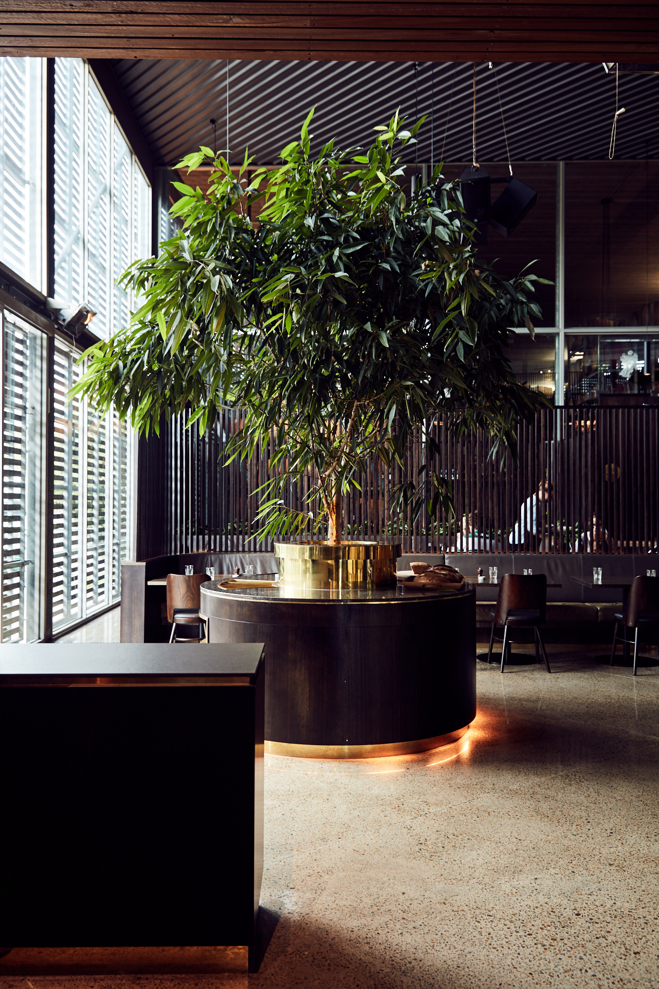 Giant Steps Healesville commercial furniture project view 16